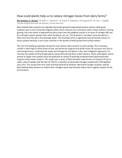 How could plants help us to reduce nitrogen losses from dairy farms?