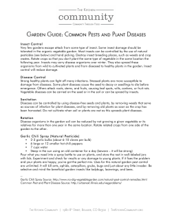 Garden Guide: Common Pests and Plant