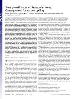 Slow growth rates of Amazonian trees: Consequences for carbon