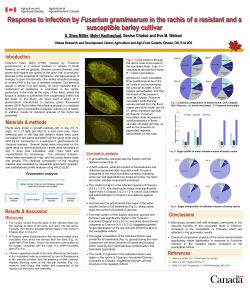 P-13 Miller et al. Response to infection by - 2016 cwfhb-cwf