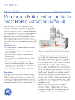 Mammalian Protein Extraction Buffer Yeast Protein Extraction Buffer Kit