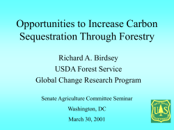Opportunities to Increase Carbon Sequestration Through Forestry