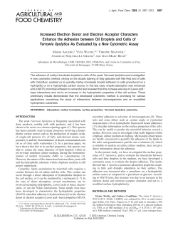 Increased Electron Donor and Electron Acceptor