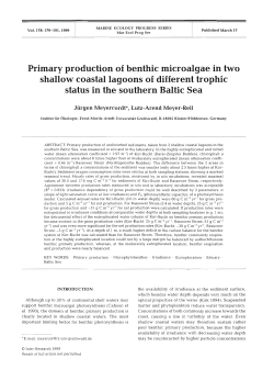 Primary production of benthic microalgae in two