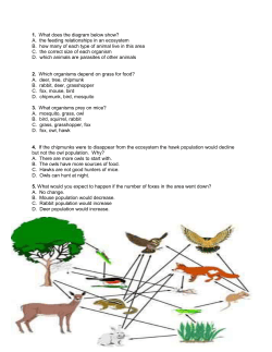A. the feeding relationships in an ecosystem B. how many of each