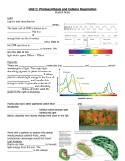 Photosynthesis and Cellular Respiration