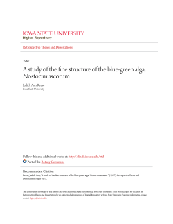 A study of the fine structure of the blue