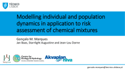 Modelling individual and population dynamics in application to risk