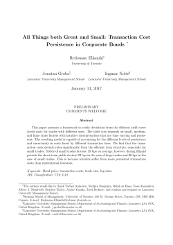 All Things both Great and Small: Transaction Cost Persistence in