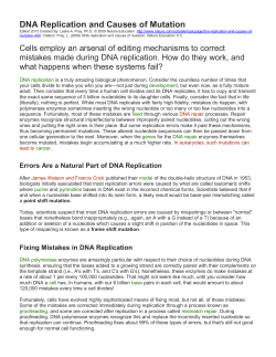 DNA Replication and Causes of Mutation