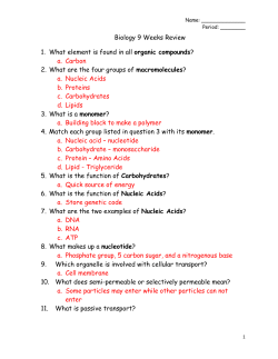 Description Lipids Nucleic Acids Proteins Carbo