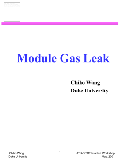 Module Gas Leak Chiho Wang Duke University