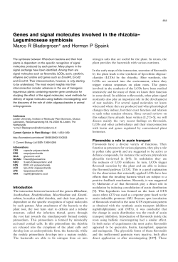 Genes and signal molecules involved in the rhizobia