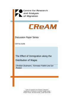 Discussion Paper Series The Effect of Immigration along the