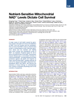 Nutrient-sensitive mitochondrial NAD+ levels dictate cell survival