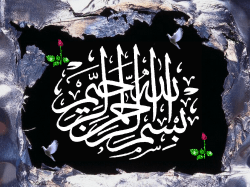 (GST) during treatment of male rabbits with either 2.5 or 5 mg/kg BW