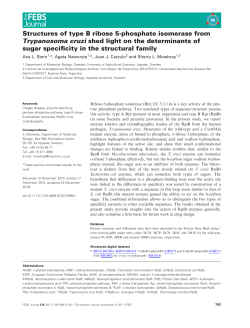 Structures of type B ribose 5‐phosphate isomerase from