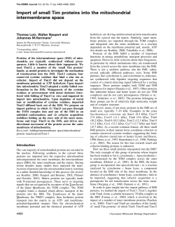Import of small Tim proteins into the mitochondrial intermembrane