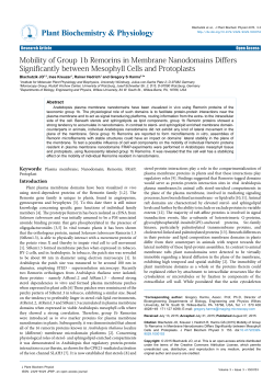 Mobility of Group 1b Remorins in Membrane Nanodomains Differs