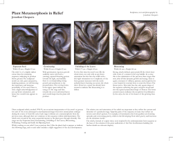 Plant Metamorphosis in Relief
