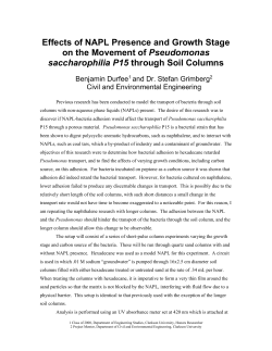 Effects of NAPL Presence and Growth Stage on the Movement of