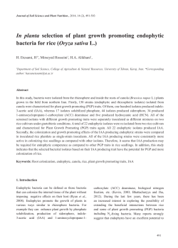 In planta selection of plant growth promoting endophytic bacteria for