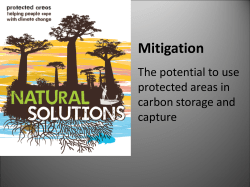 Carbon storage and capture