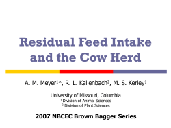 The effect of residual feed intake rank in beef cows on forage intake