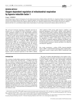 Oxygen-dependent regulation of mitochondrial respiration by