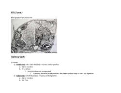 Cells Part 2/ Organelles