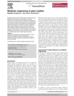 Metabolic engineering of plant volatiles