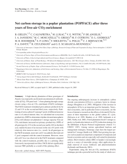 Net carbon storage in a poplar plantation