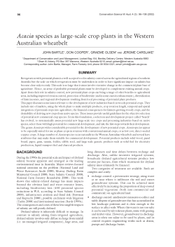 Acacia species as large-scale crop plants in the Western Australian