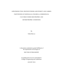 lipid production, photosynthesis adjustment and carbon partitioning