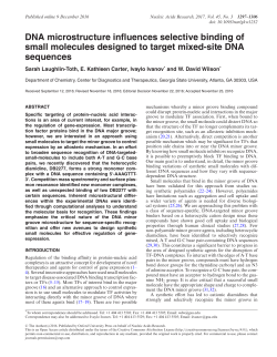 DNA microstructure influences selective binding of small molecules