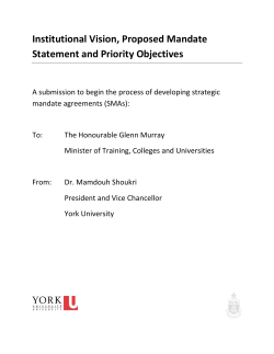 Institutional Vision, Proposed Mandate Statement