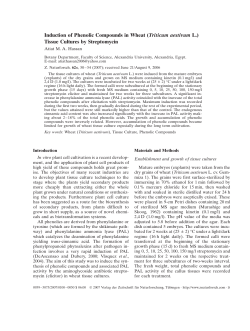 Induction of Phenolic Compounds in Wheat (Triticum aestivum L