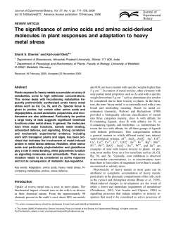 The significance of amino acids and amino acid