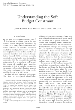 Understanding the Soft Budget Constraint