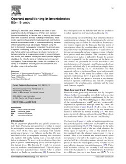 Operant conditioning in invertebrates