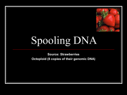 Isolating DNA from Strawberries