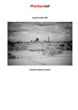 Leaf Credo WS Good to Know Facts