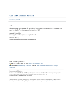 Phytoplankton pigment specific growth and losses due to