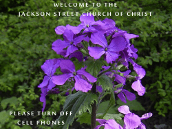 giving - TheLordsway.com