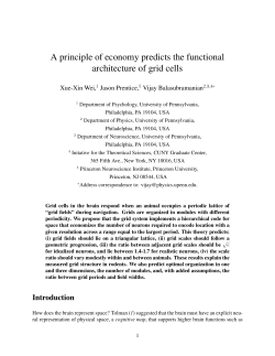 A principle of economy predicts the functional architecture of