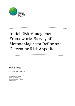 Initial Risk Management Framework