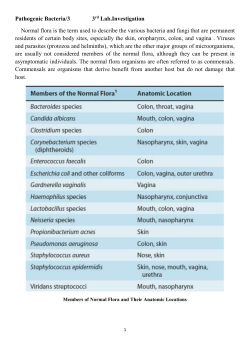 Pathogenic Bacteria3