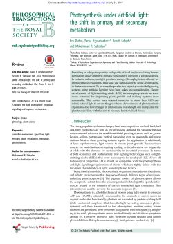 Photosynthesis under artificial light: the shift in primary and