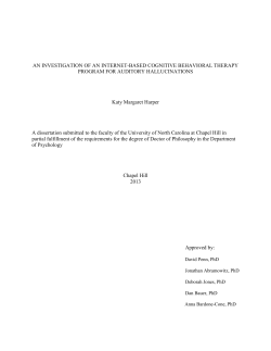 AN INVESTIGATION OF AN INTERNET