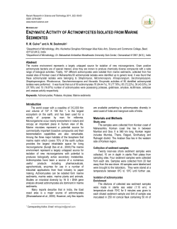 enzymatic activity of actinomycetes isolated from